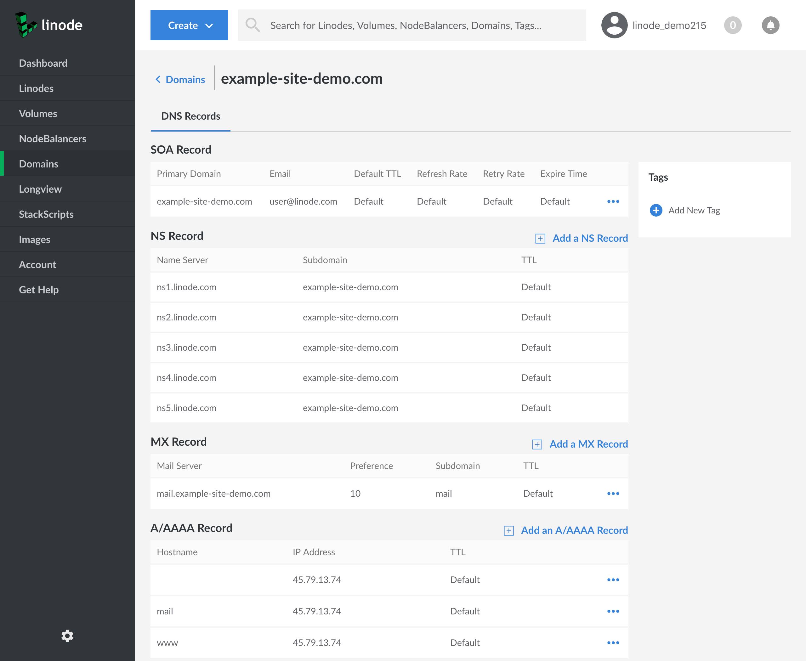 The SOA record is set to “example-site-demo.com”. The NS records are set to “ns1.linode.com” through “ns5.linode.com”, inclusive. The MX record is set to “mail.example-site-demo.com”. There are A records for [blank], which is the primary domain, and the “mail” and “www” subdomains. They are all set to the same IP.